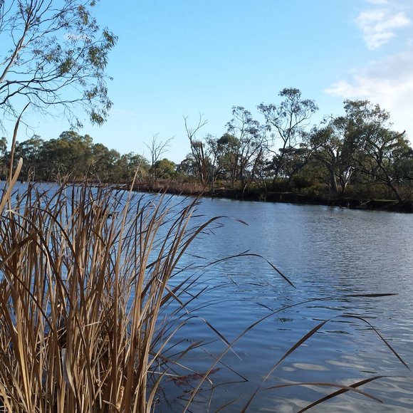 Meet your Posher, Khaled - Picture 5 of 9